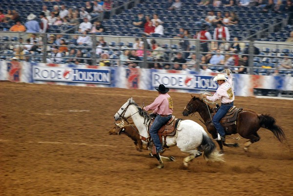 Team Roping