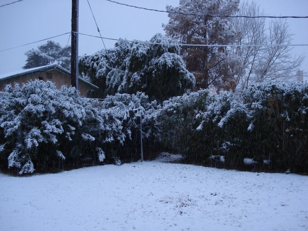 Snow in Las Vegas ?