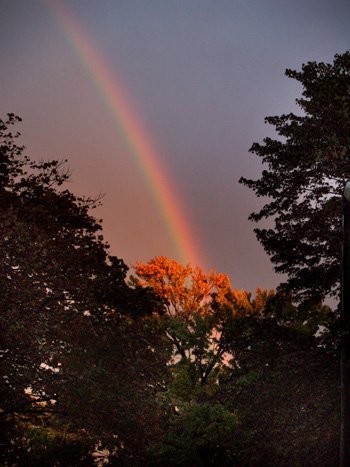 Gold at the End of the Rainbow
