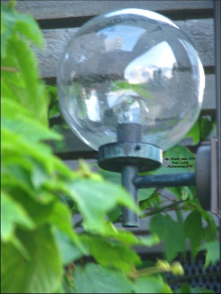 Light-essential's in life...