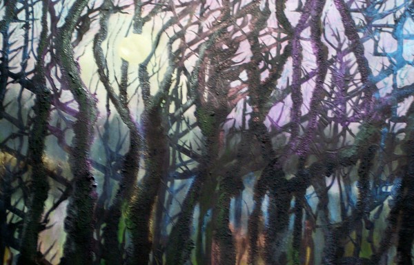 Moonlight at Edgecumbe 