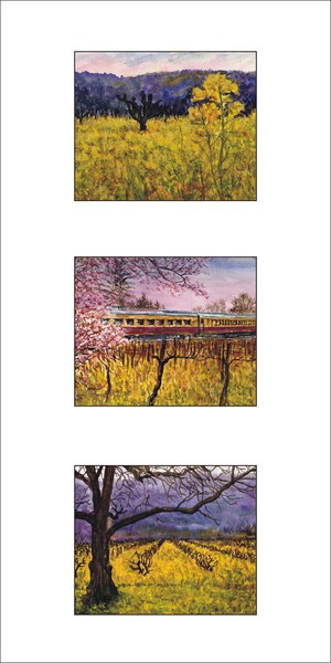 Napa Valley Train By Yuriy B.