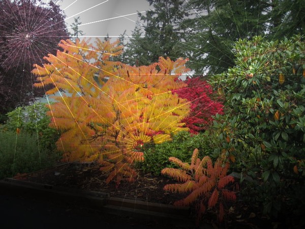 Fall Special Effects