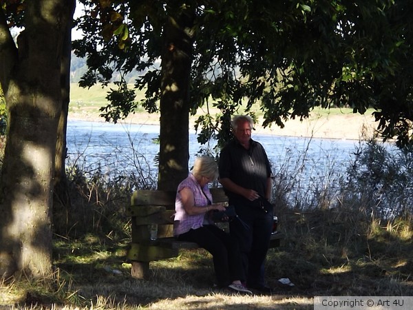 A Drink in the Shade