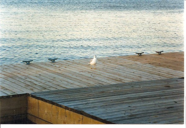 Strolling on the boardwalk