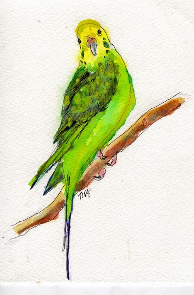 Tweedy Bird watercolor