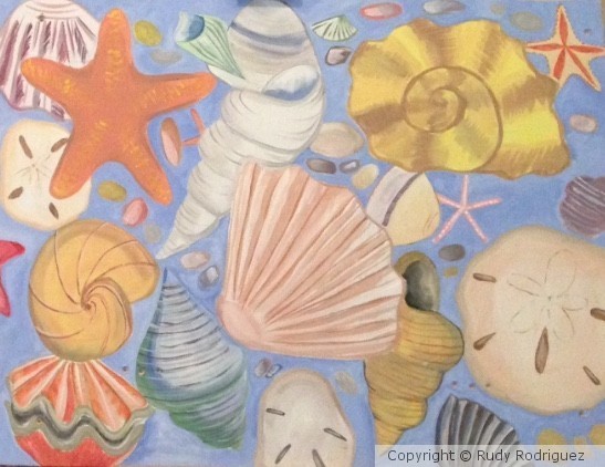 Seashells