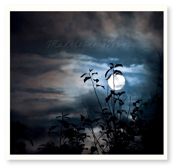 • A beautiful night