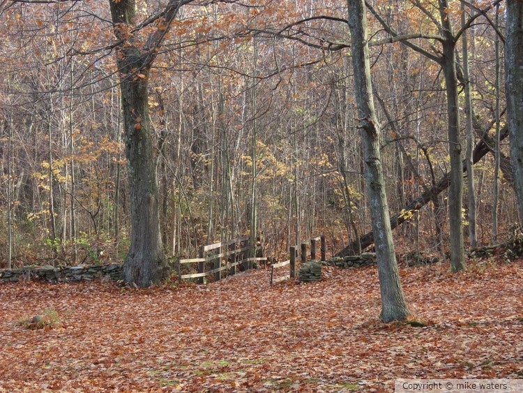 Autumn bridge
