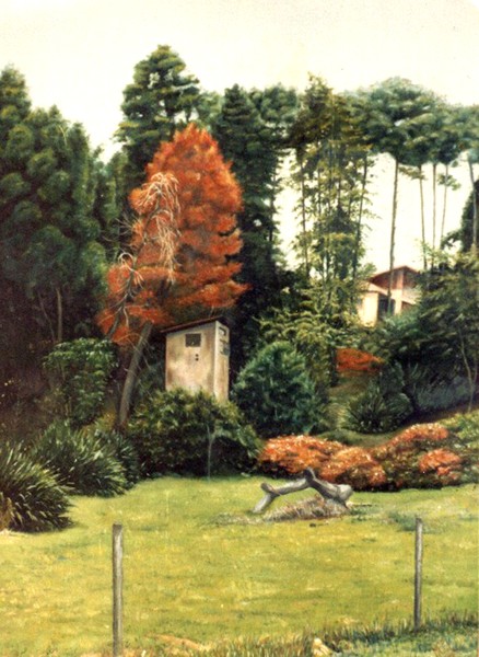 casa de força