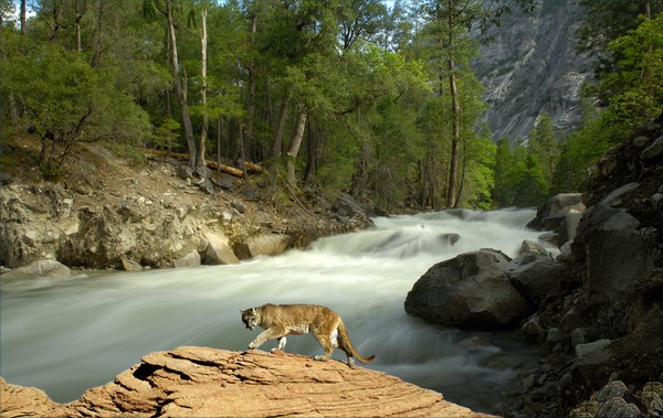 1200-American Southwest Wilderness