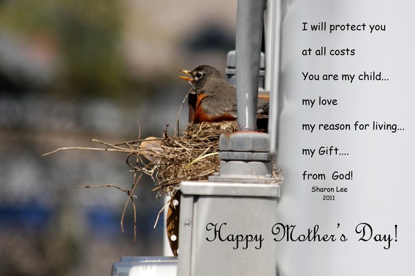 To all of my AW Friends 