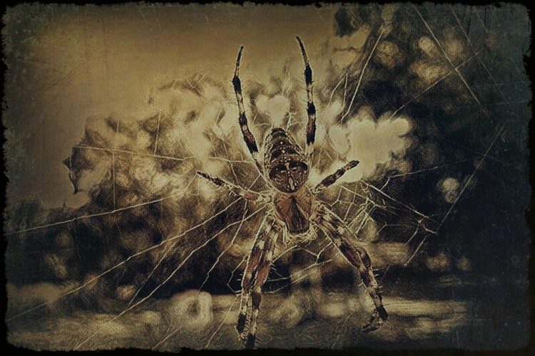 Along Came a Spider 2