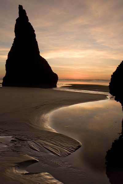 Sentinal of the Coast