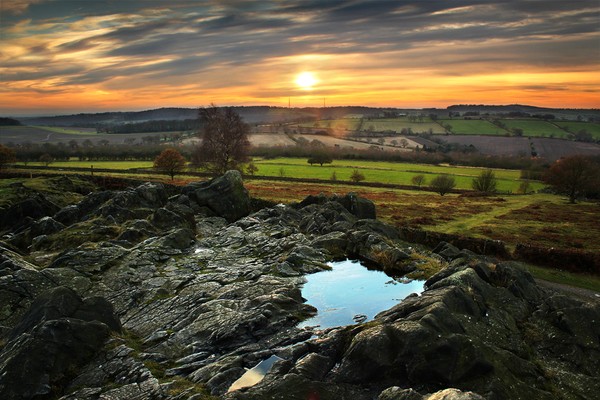 Rock Puddle