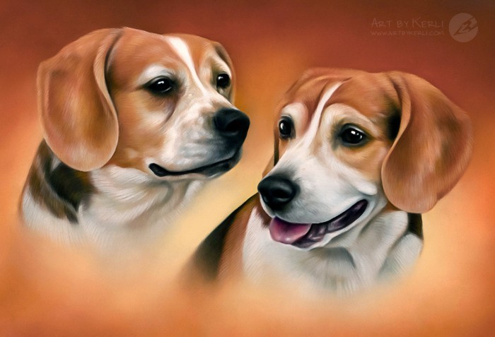 Bailey & Cody