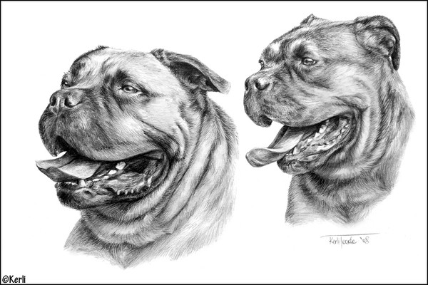 Aron & Brandy