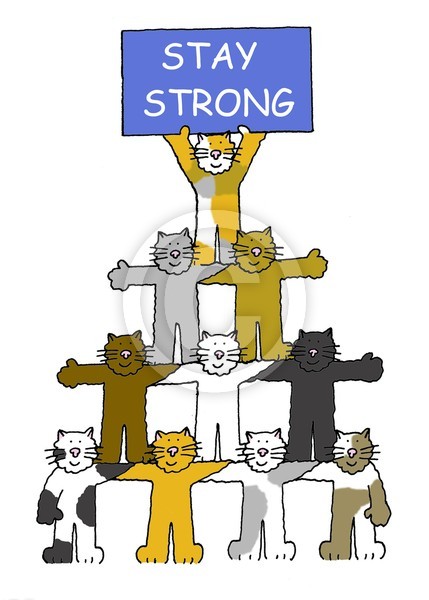 Stay Strong Cats