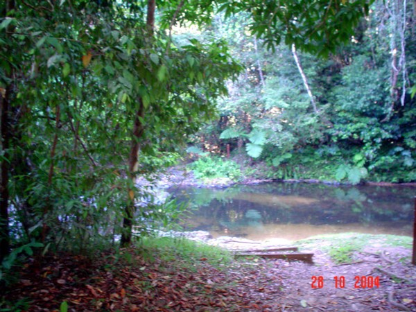nice  place  for swim and relax 