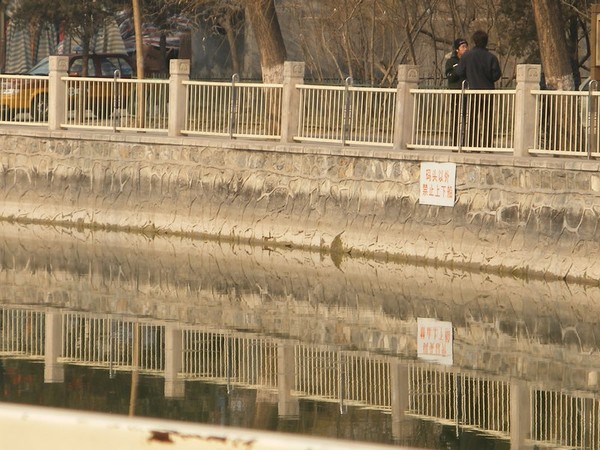Reflection 1