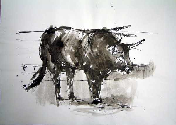 Bull