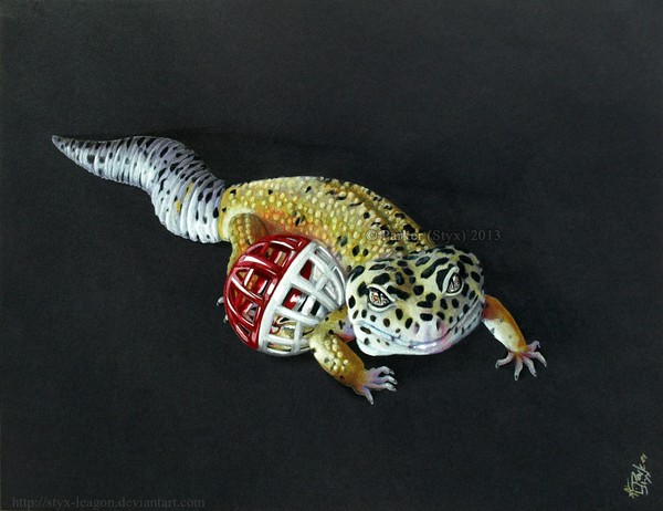 Leopard’s Toy