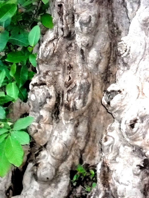 Trunk Sculpture
