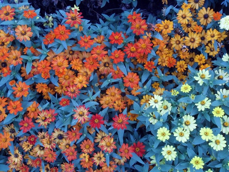 Colorful Display