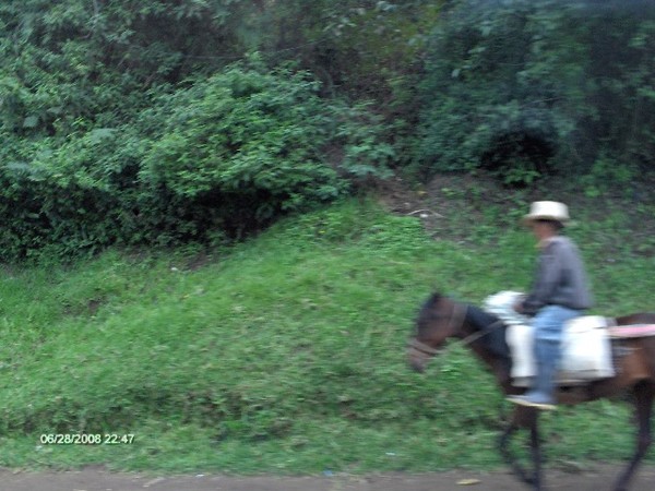 GUATEMALA MAN  