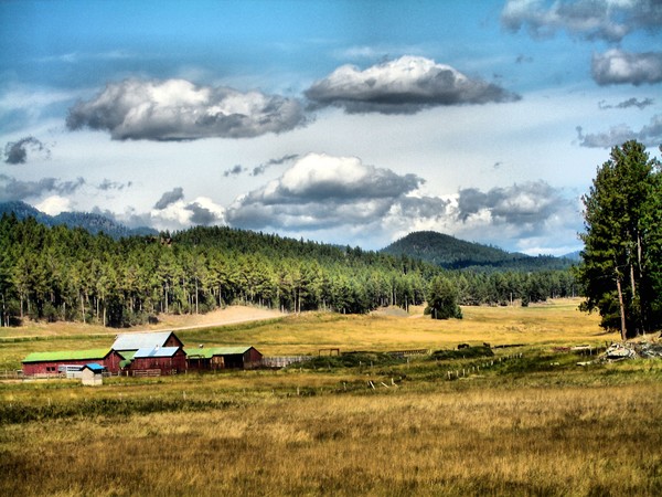 Black Hills, South Dakota
