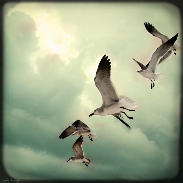 In Flight 