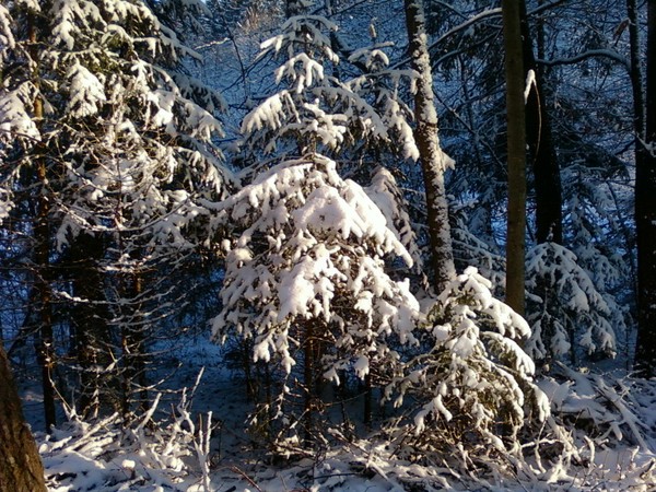 winter