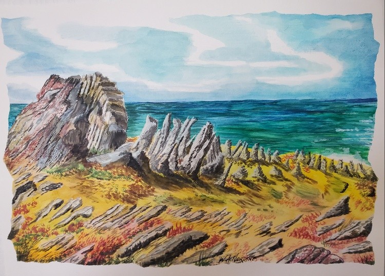 The Craggy Shores of Devon