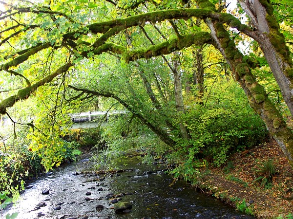 Larwood Wayside Series ~ # 9