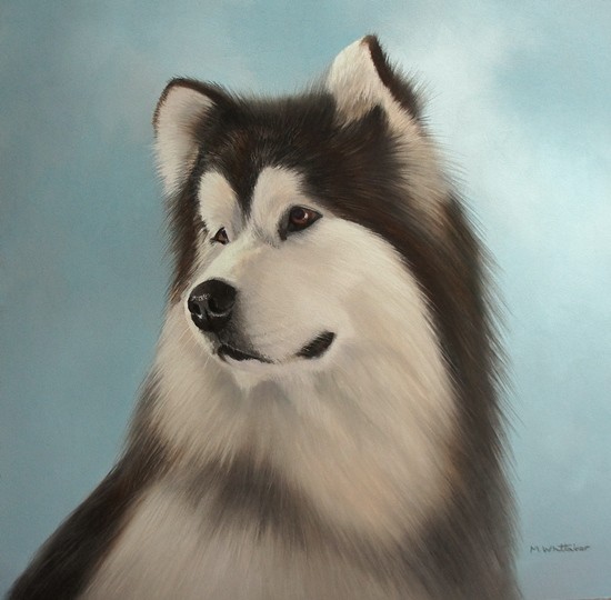 ALASKAN MALAMUTE