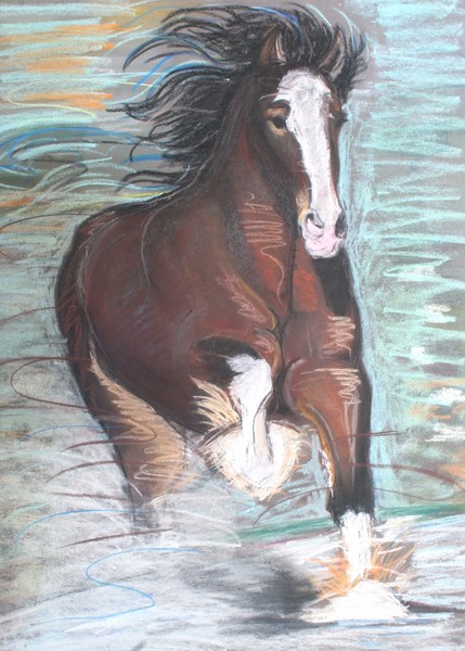 Clydesdale