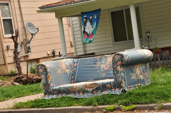 Satellite, Cat & Sofa