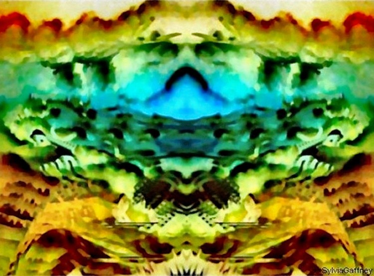 Interwoven Moth