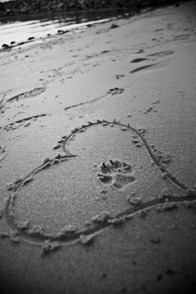 beach sand
