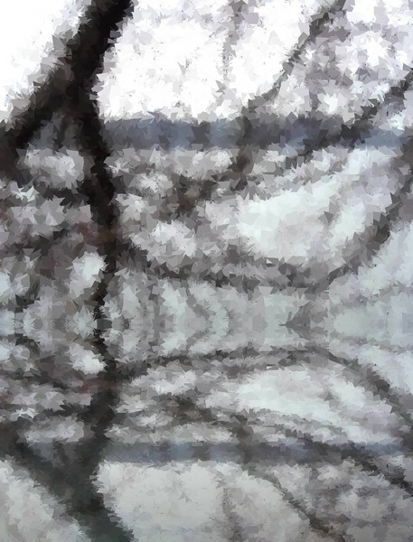Winter tree 4