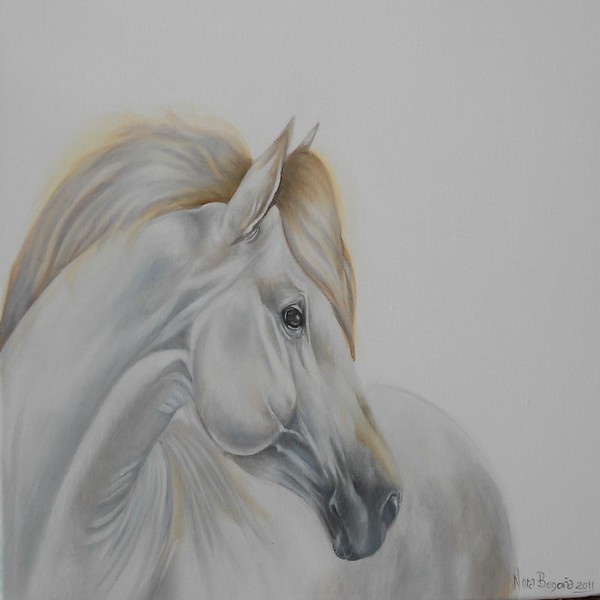 White Dream