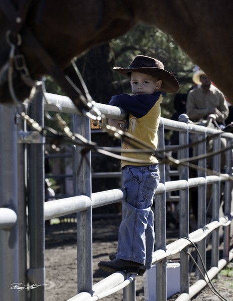 Future Cowboy