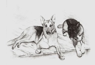 Lazy Dogs