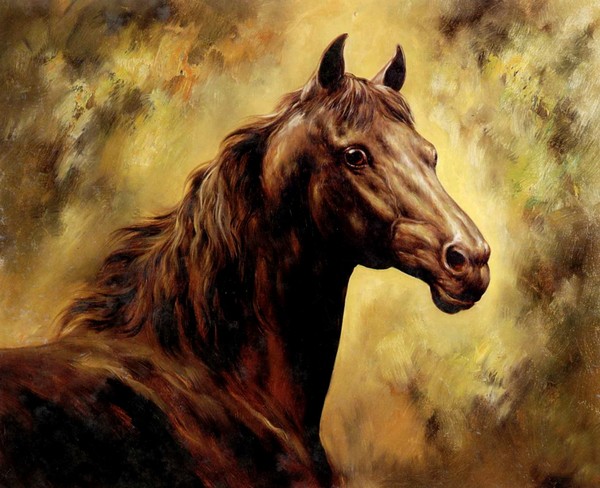 A horse