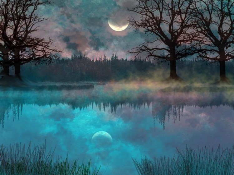 Foggy Swamp