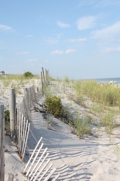 The Dunes II