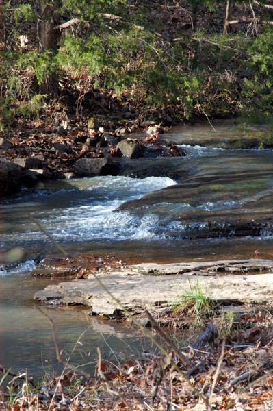 Mtn. Creek