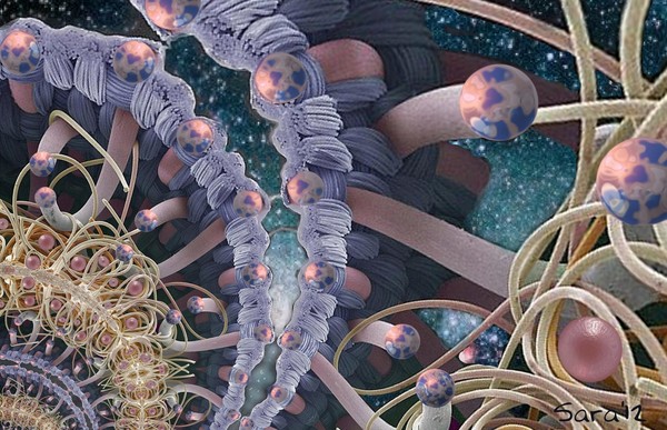 Space Web