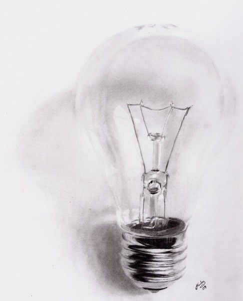 The bulb