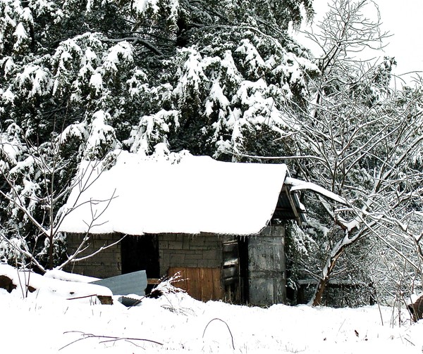 the old smokehouse